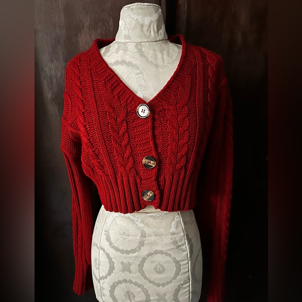 Red knit crop top sweater.